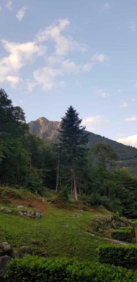 Appartement Cauterets Dış mekan fotoğraf